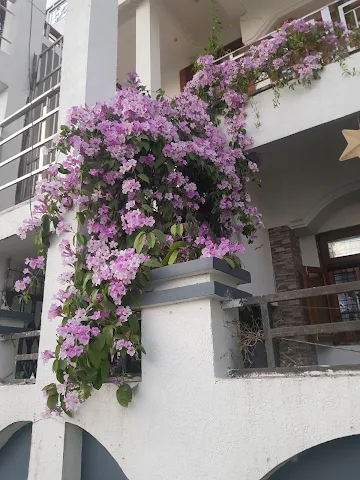 Aastha Guest Stay, Bhotia Parao, Haldwani