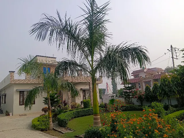 Belwal Homestay, Transport Nagar, Haldwani
